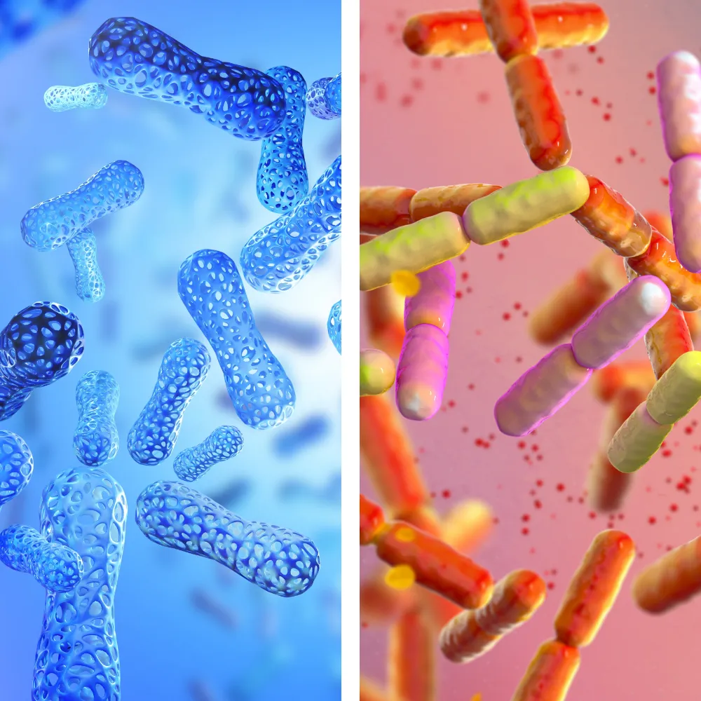 Probiotics Illustration